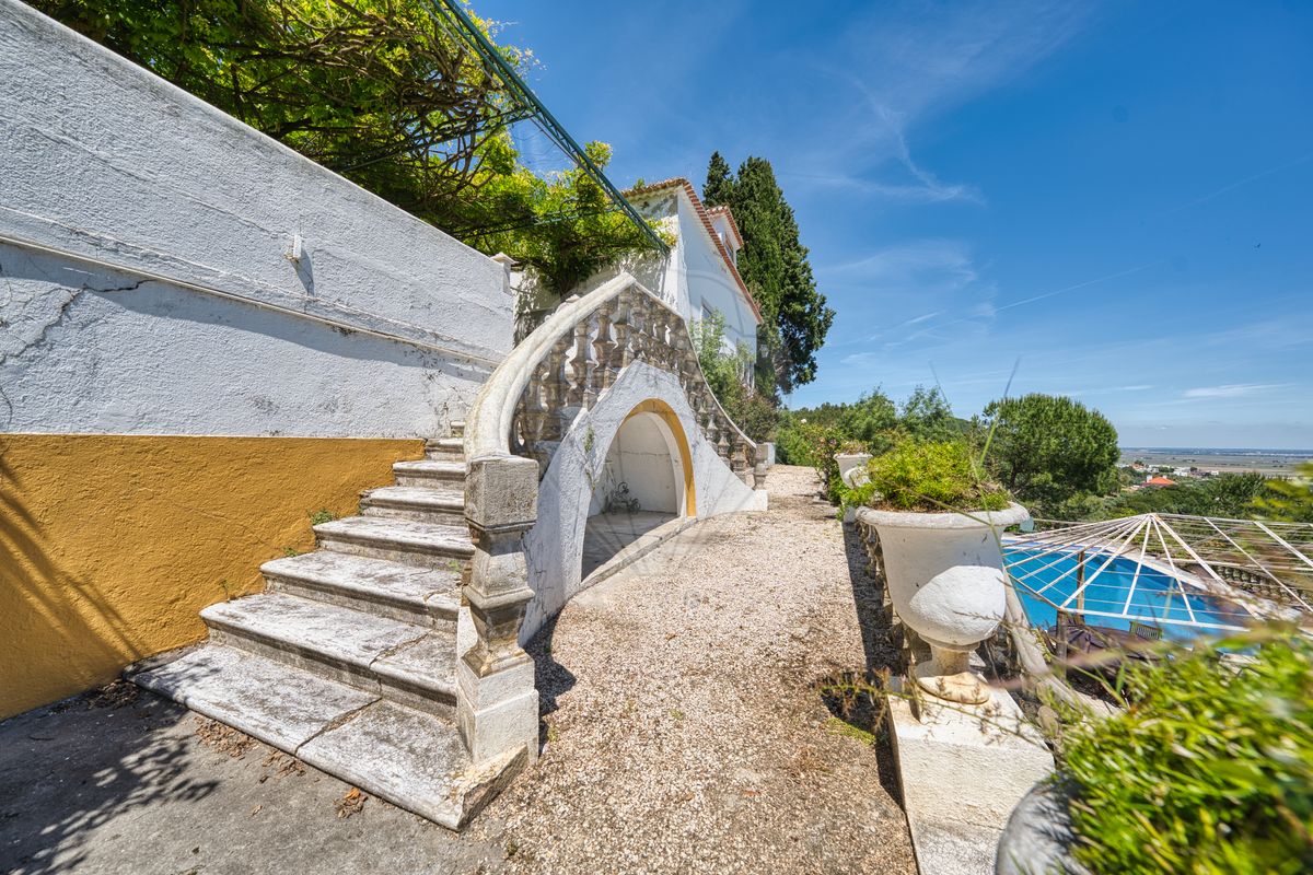 listing 121741024-676 picture-0