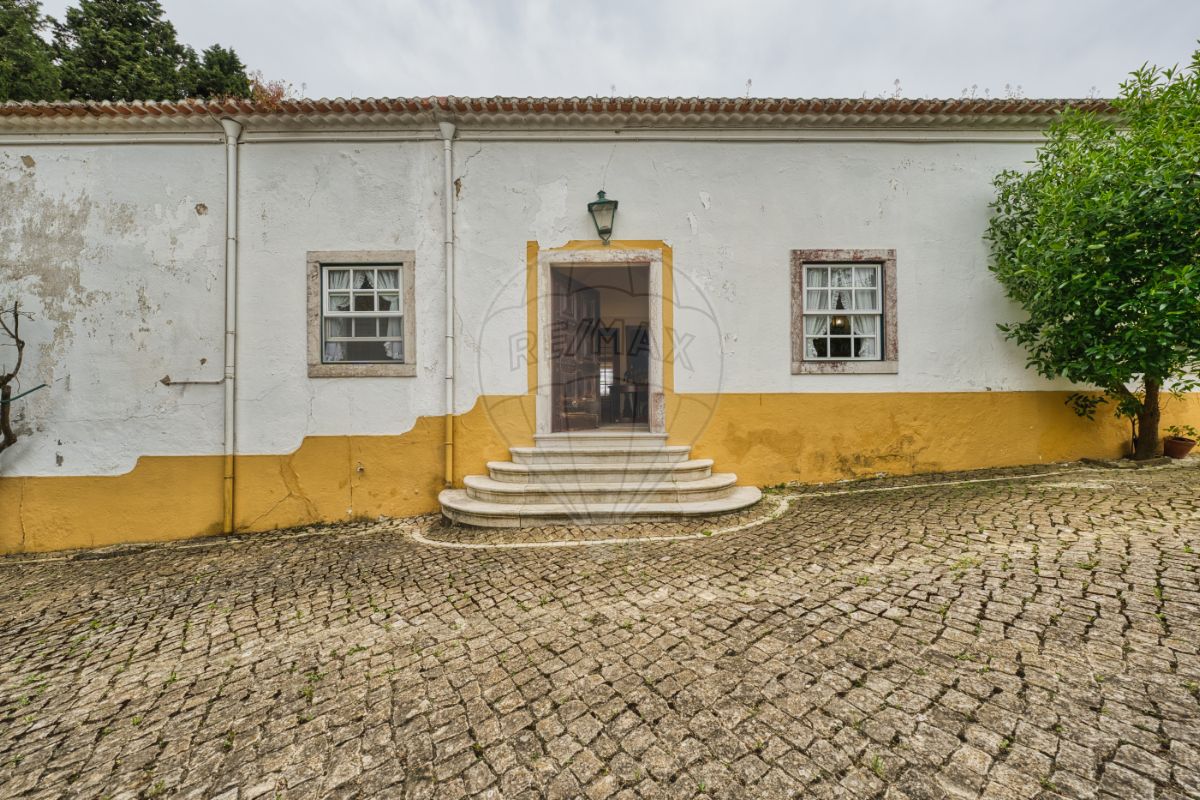 listing 121741024-676 picture-0