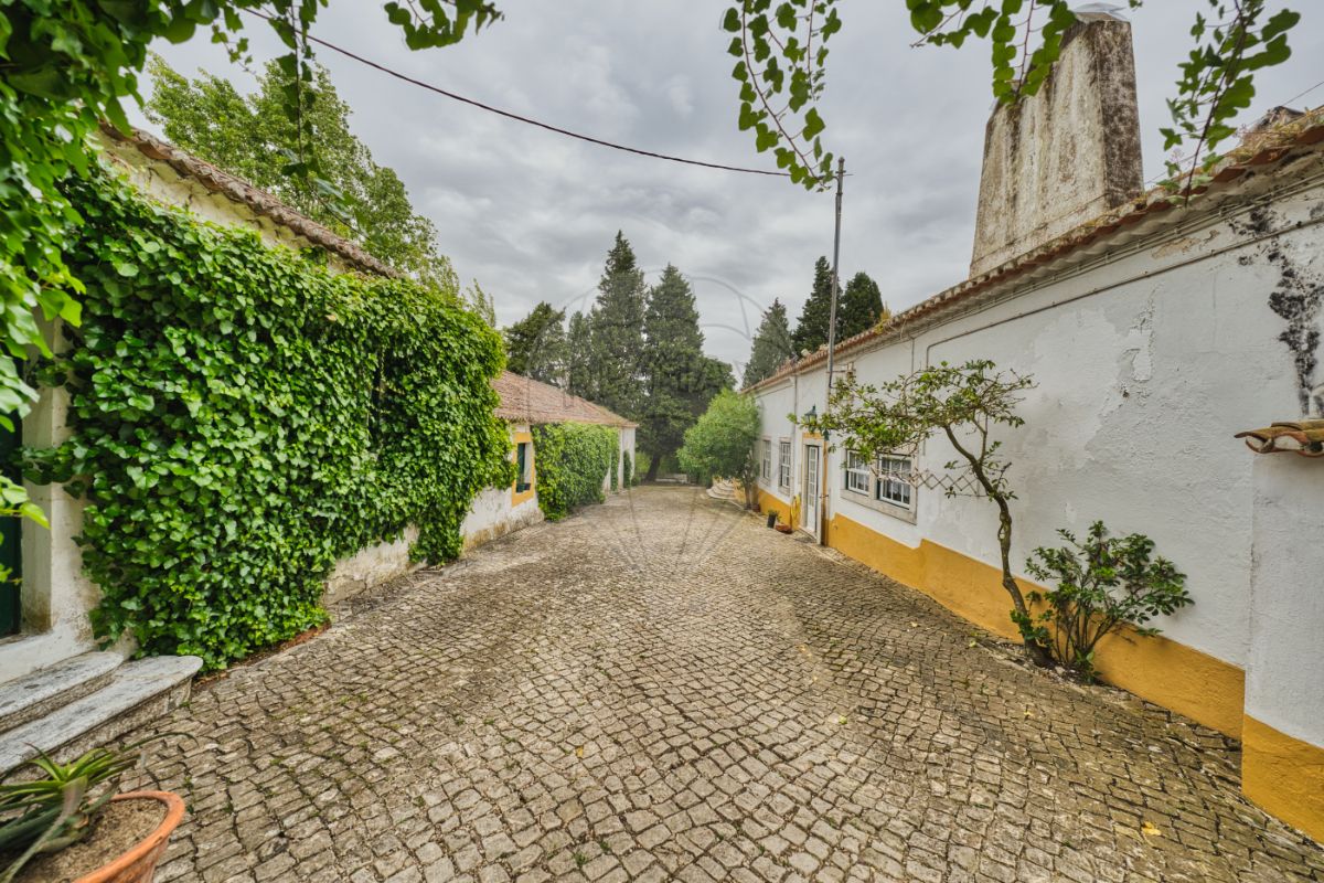 listing 121741024-676 picture-0