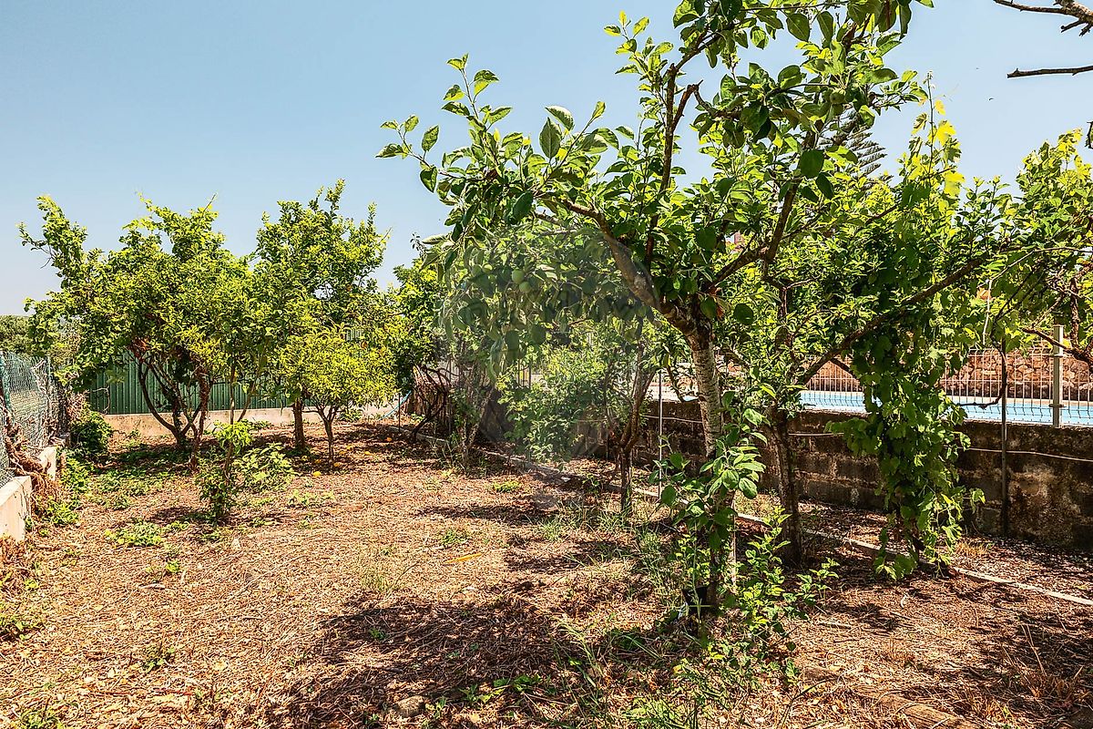listing 121741134-3 picture-0