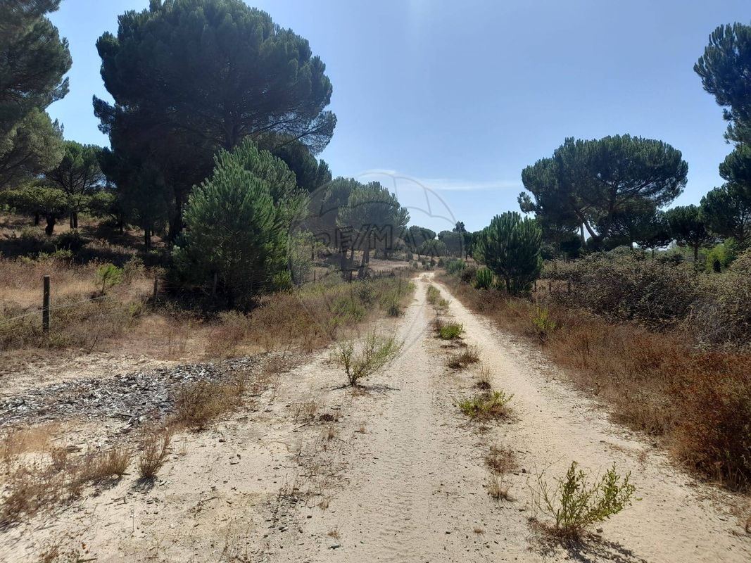 Terreno  para venda