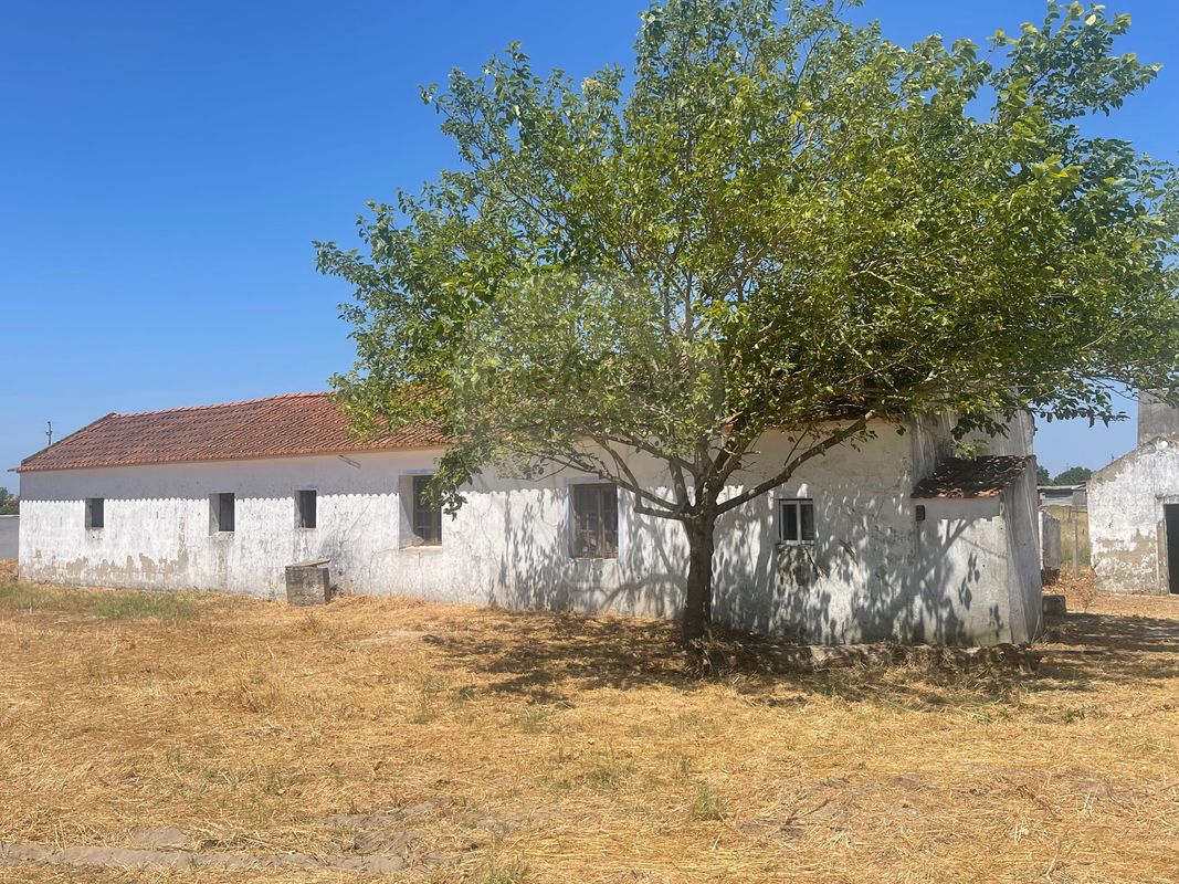 Moradia T3 para venda