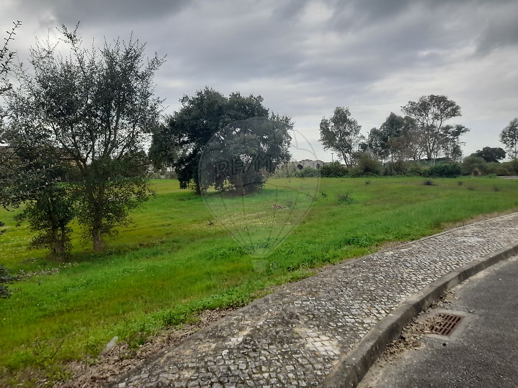 Terreno à venda em Benavente