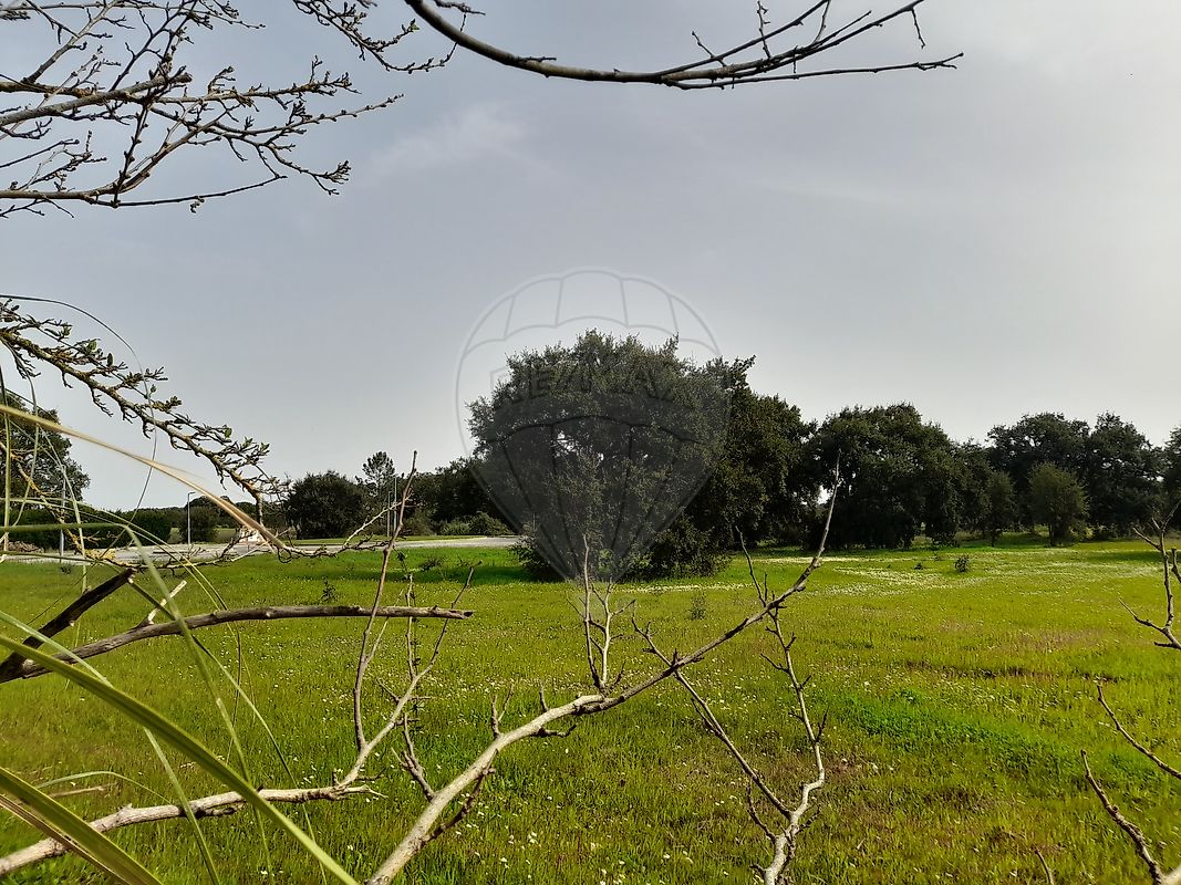 Terreno - Santo Estevão, Benavente, Santarém