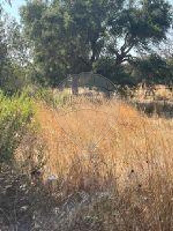 Terreno à venda em Benavente