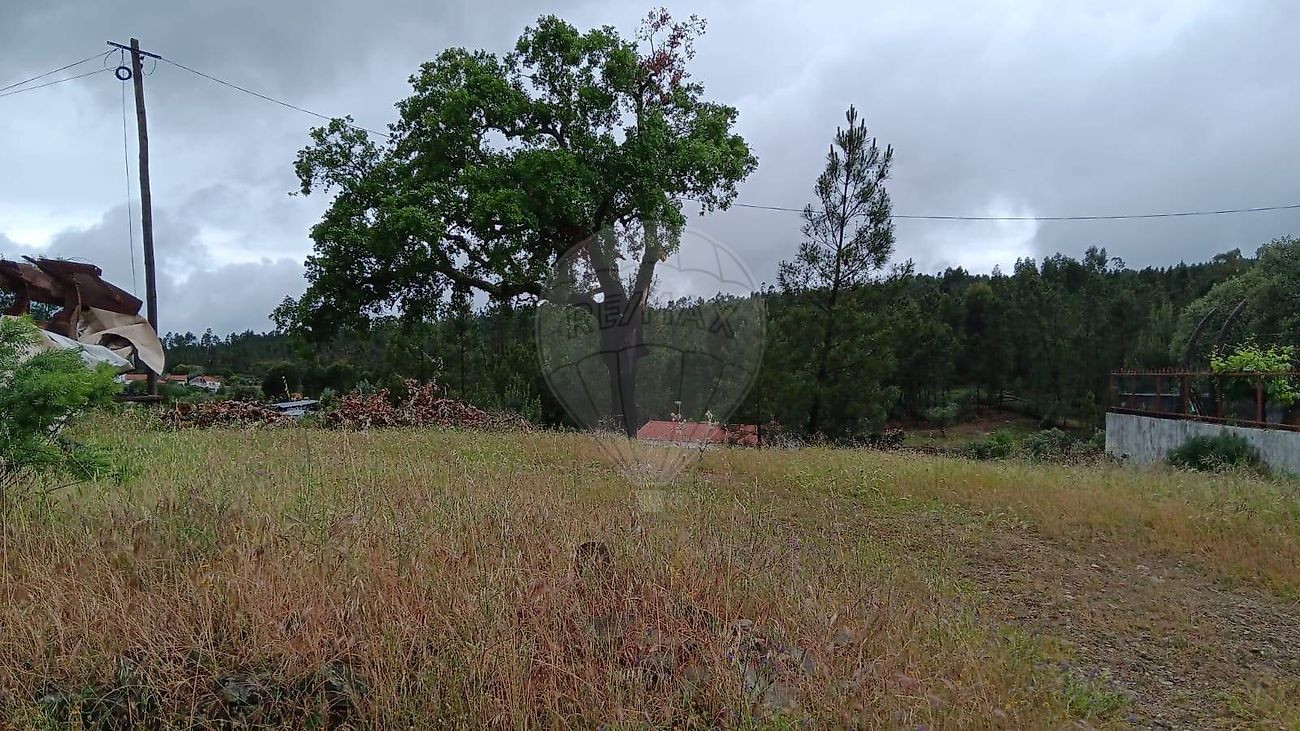 Terreno - Cardigos, Mação, Santarém