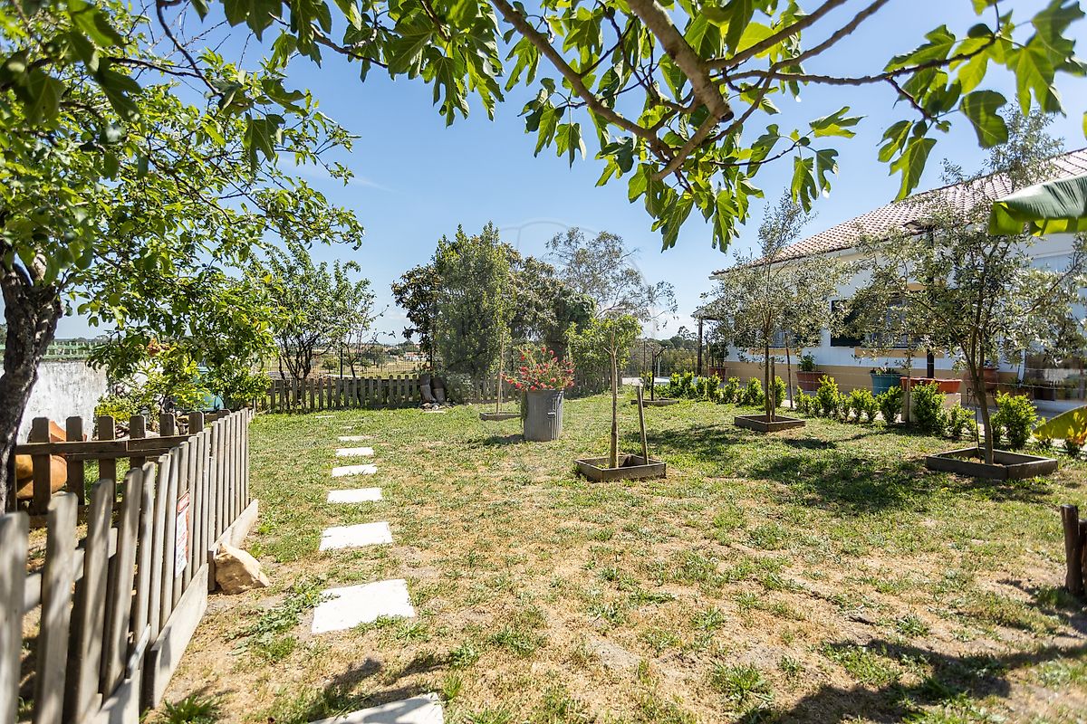 Moradia - Branca, Coruche, Santarém