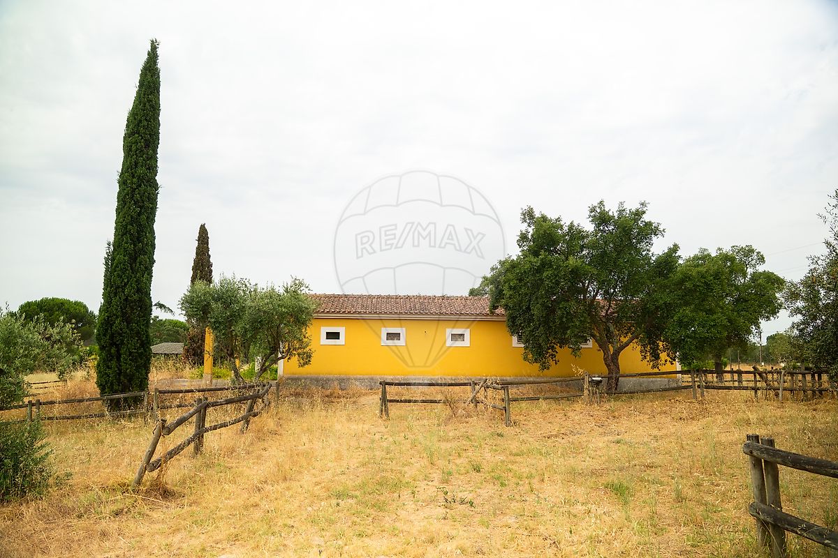 Moradia T3 à venda em Branca, Coruche — foto 9