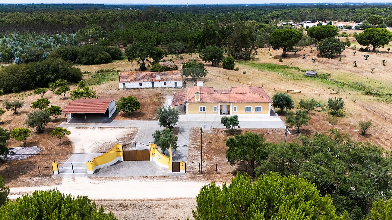 Moradia T3 à venda em Branca, Coruche — foto 29