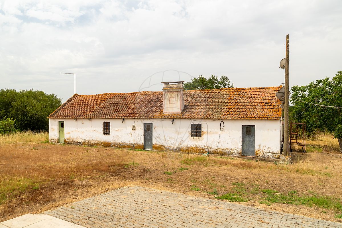 Moradia T3 à venda em Branca, Coruche — foto 14