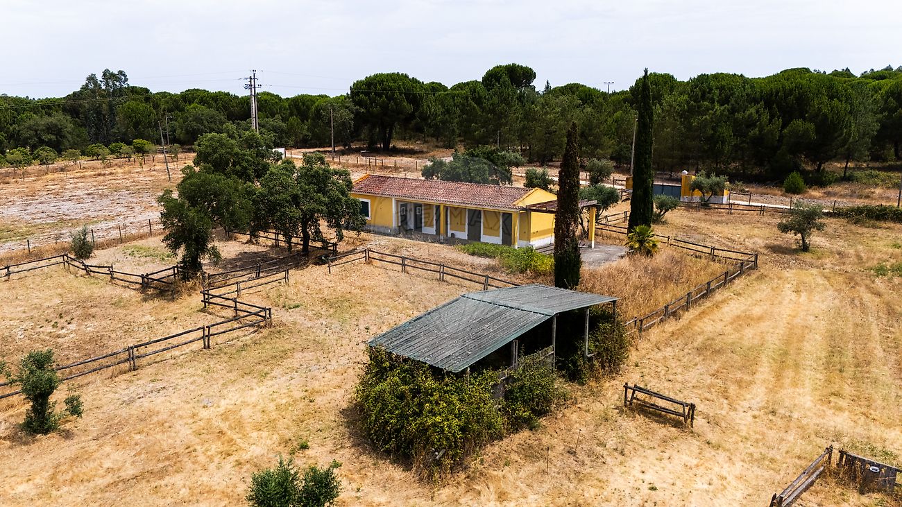 Moradia T3 à venda em Branca, Coruche — foto 7