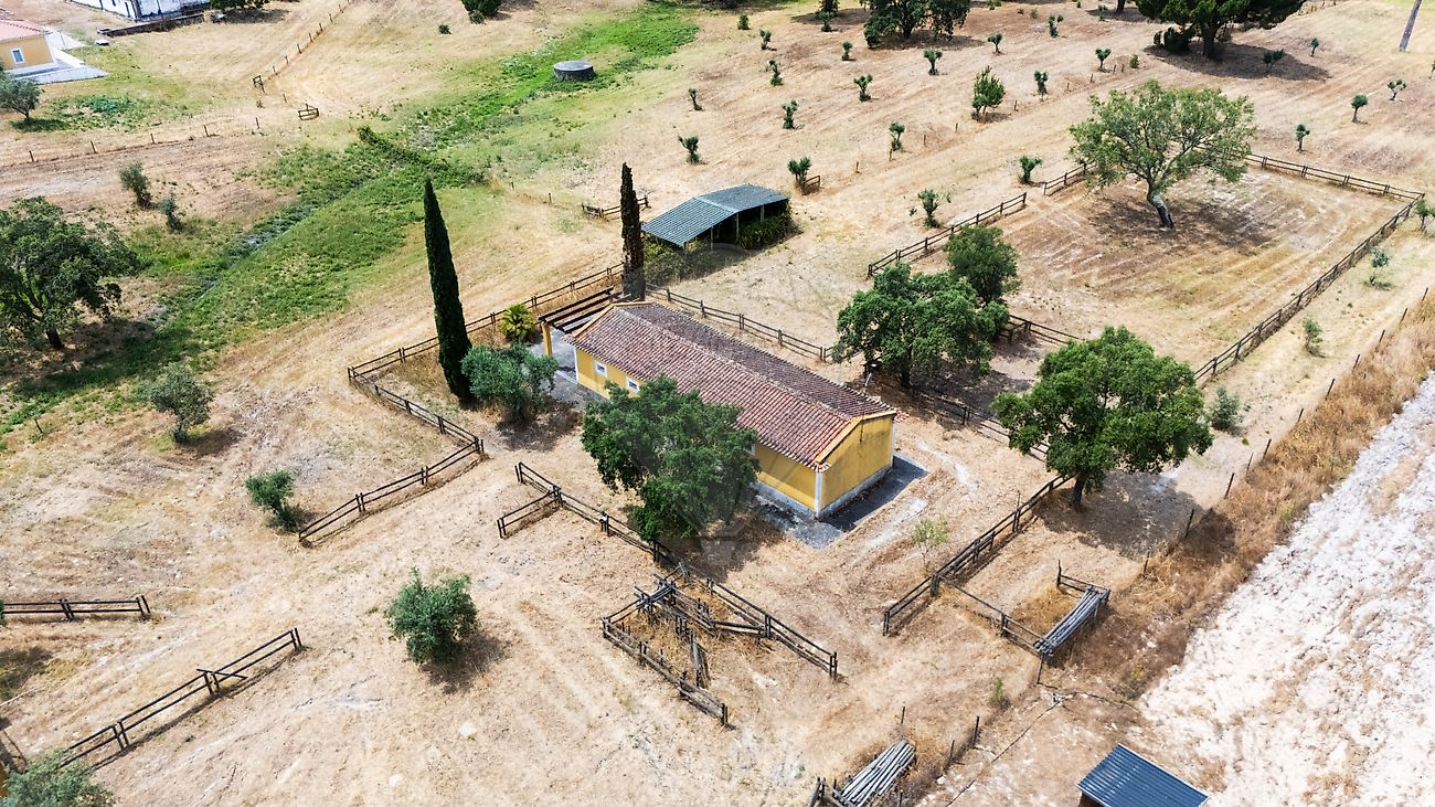 Moradia T3 à venda em Branca, Coruche — foto 12