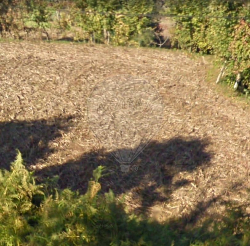 Terreno  para venda
