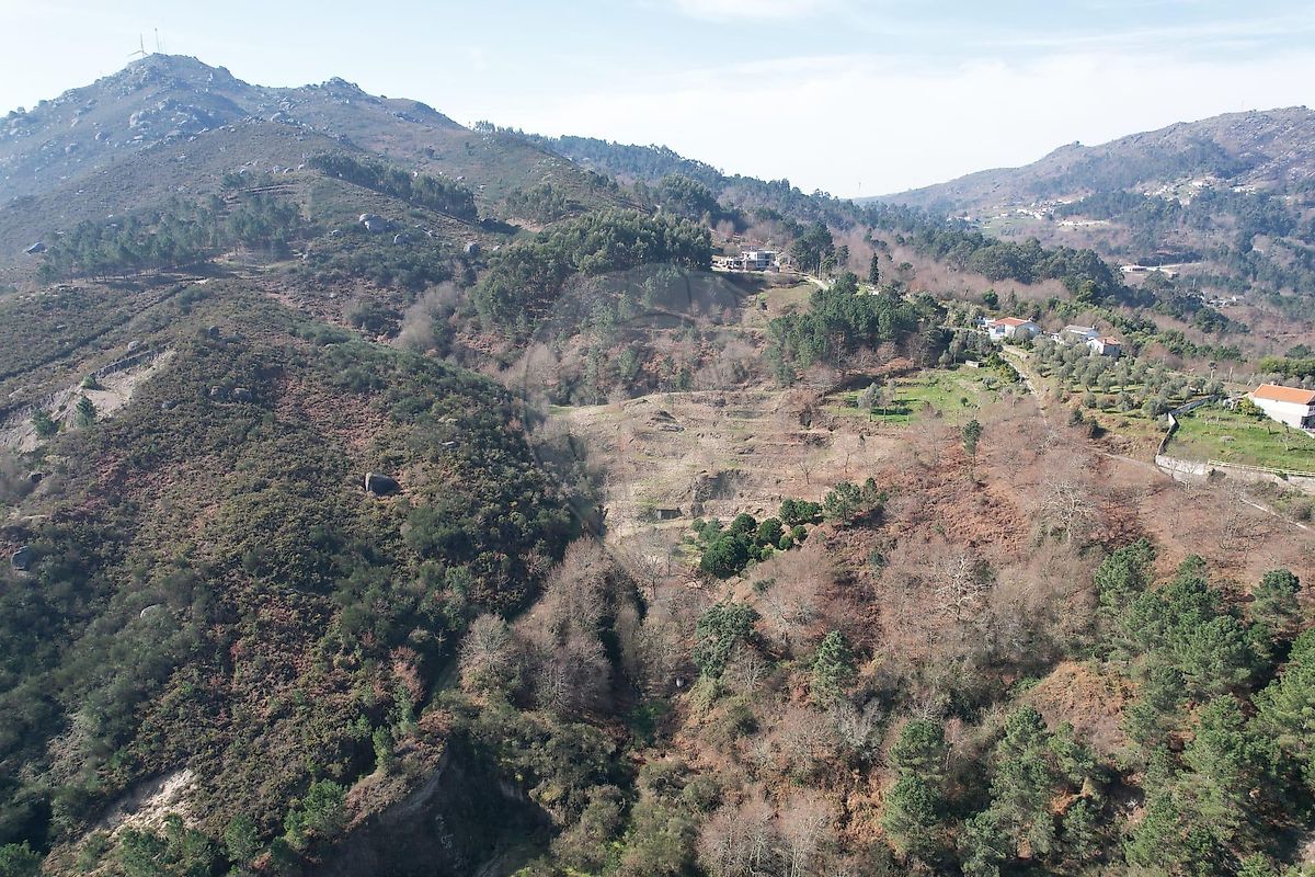 Terreno - Refojos de Basto, Outeiro e Painzela, Cabeceiras de Basto, Braga