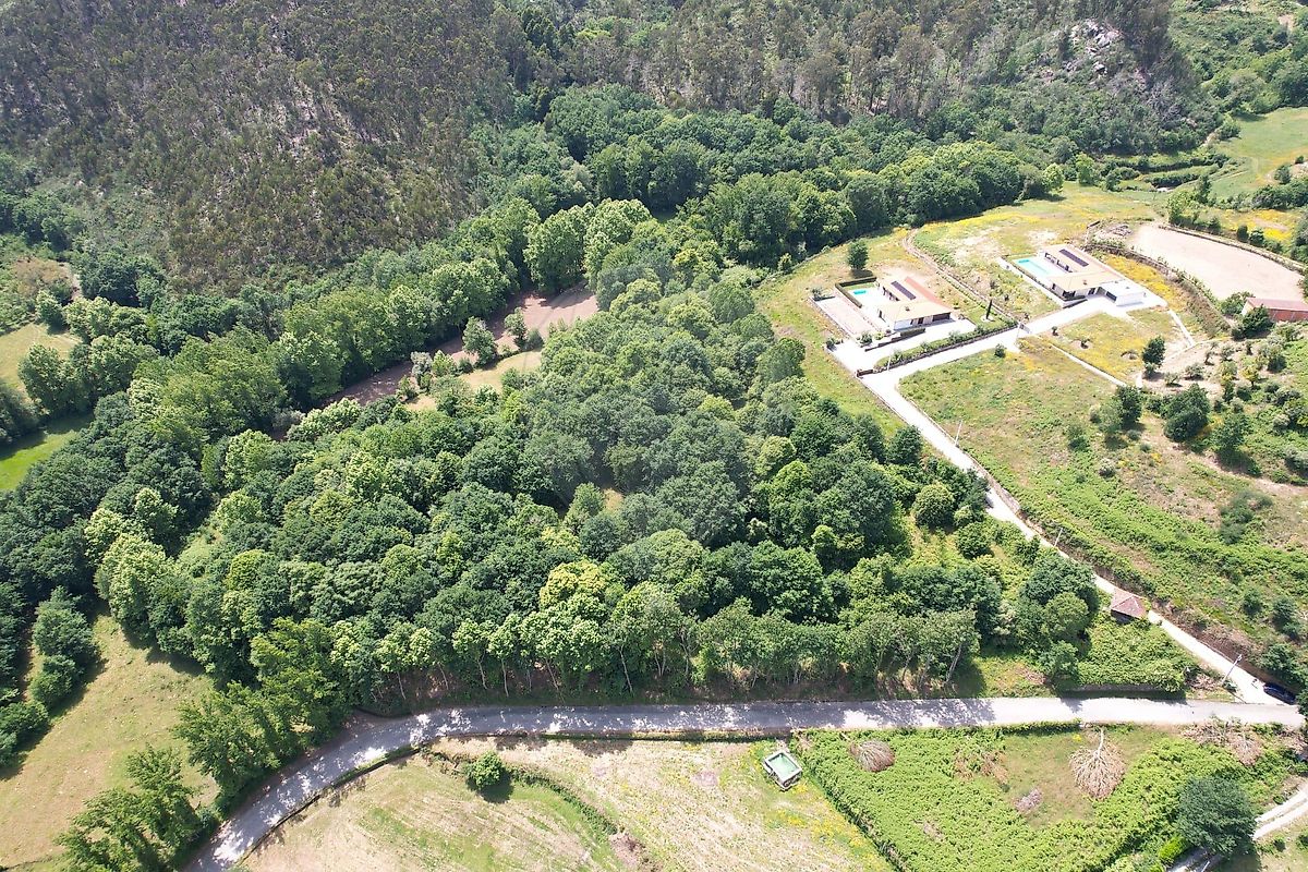 Terreno - Refojos de Basto, Outeiro e Painzela, Cabeceiras de Basto, Braga