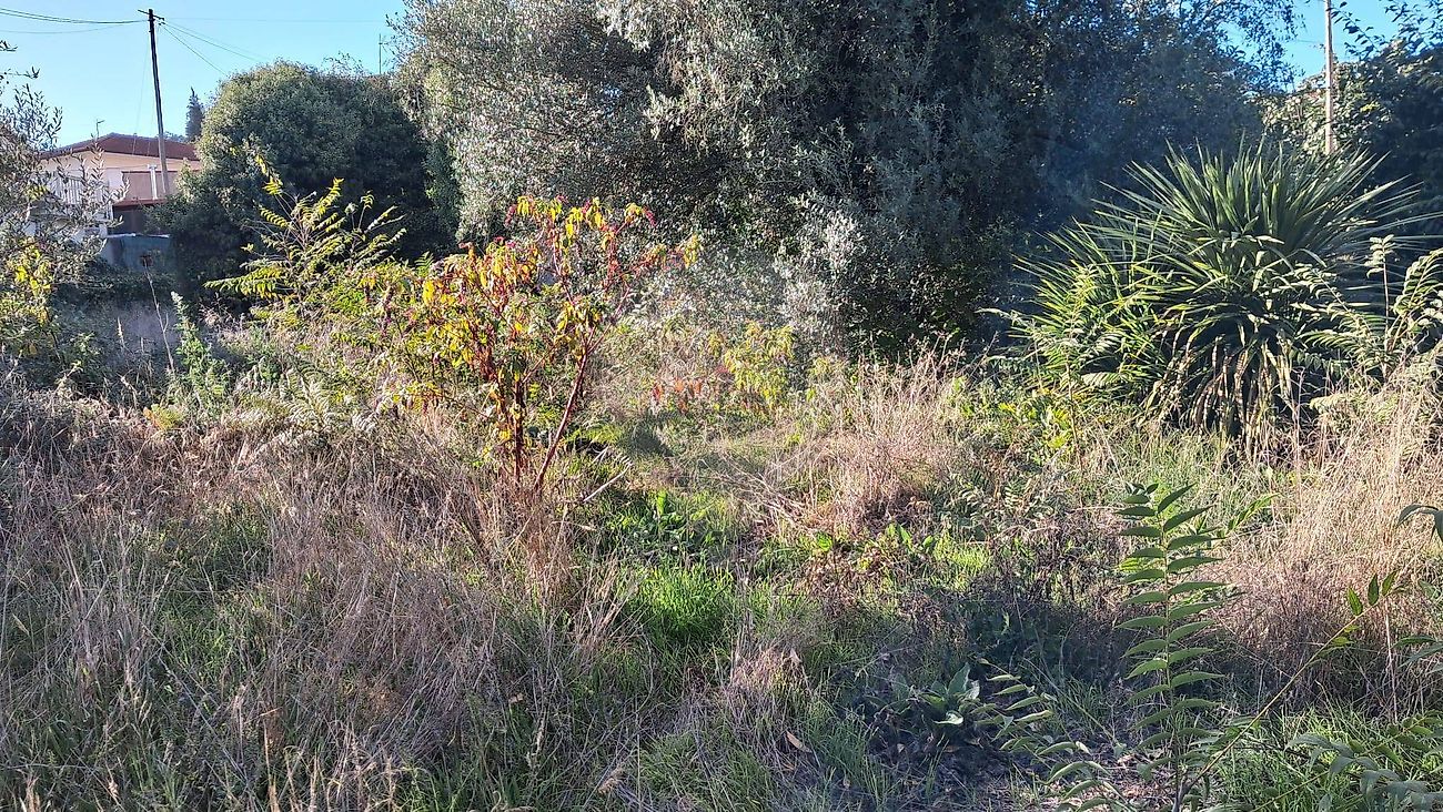Moradia T3 à venda em Golães, Fafe — foto 10