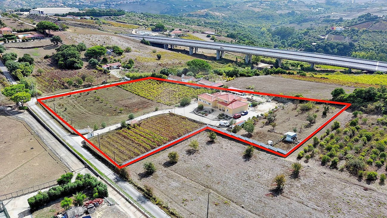 listing-picture-0