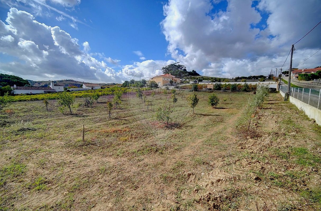 listing-picture-0
