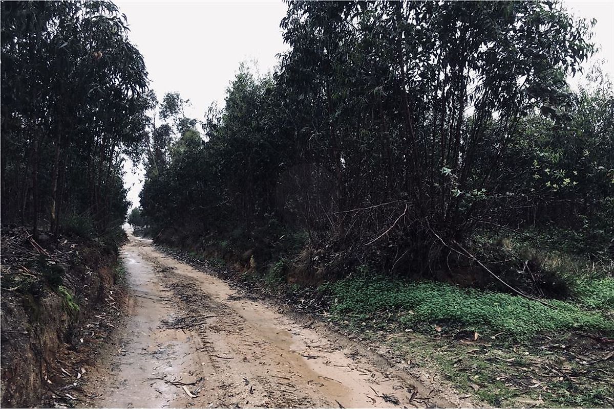 Terreno à venda em Póvoa de Penafirme