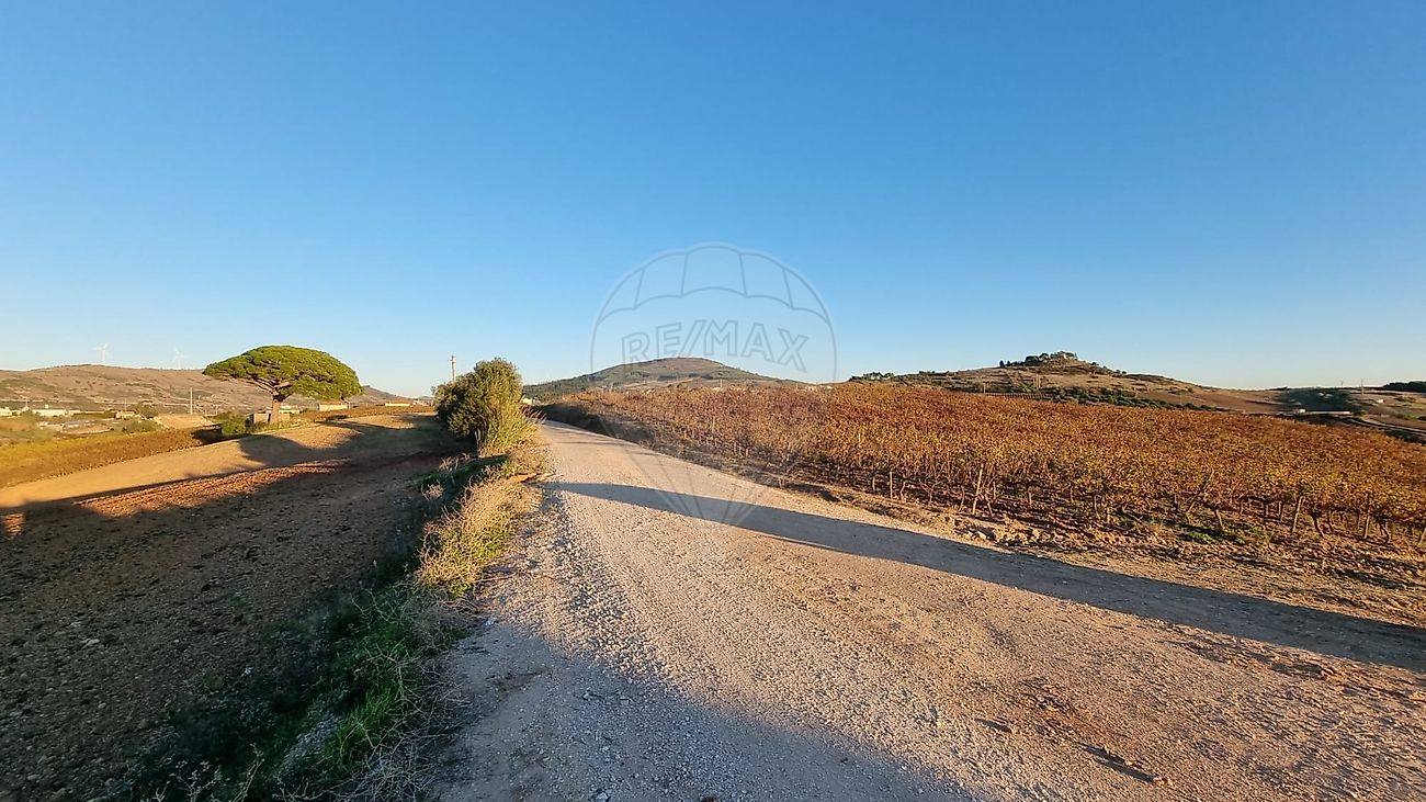 listing-picture-0