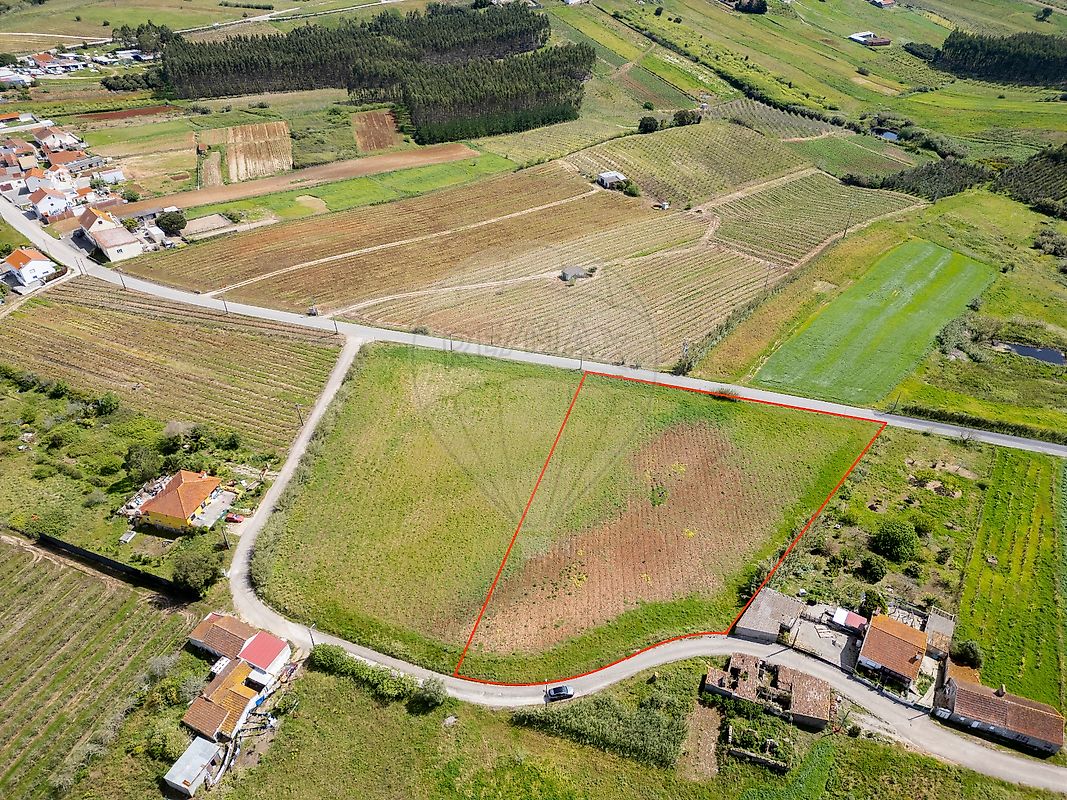 Land for sale in Bombarral, Portugal — €80,000