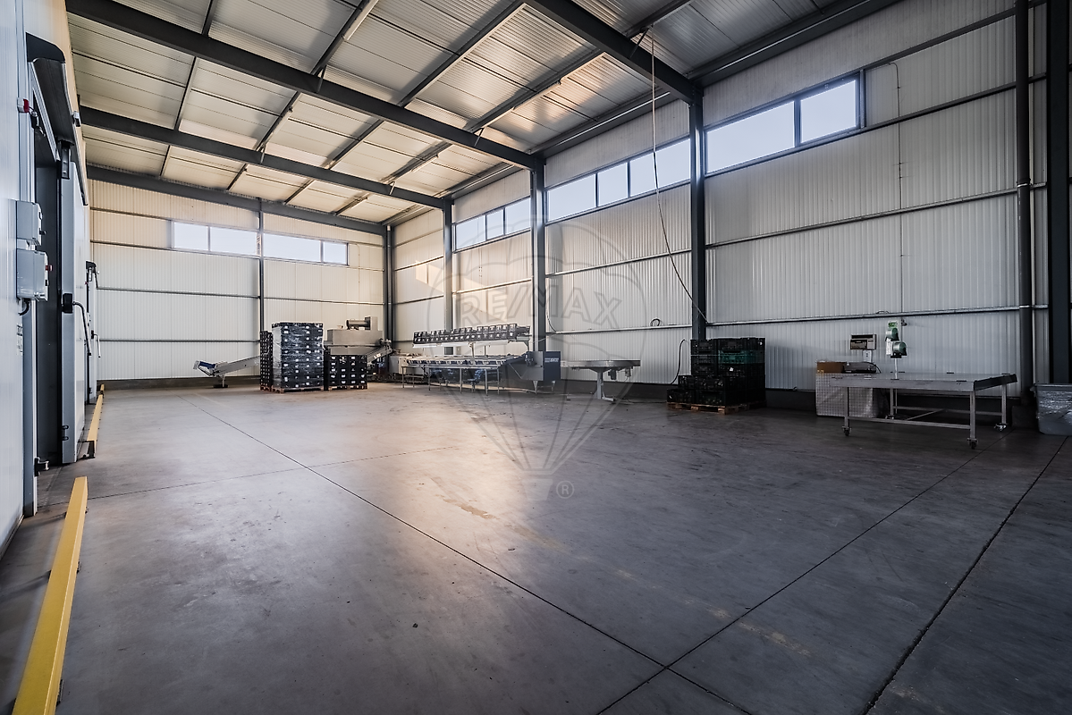 listing-picture-0