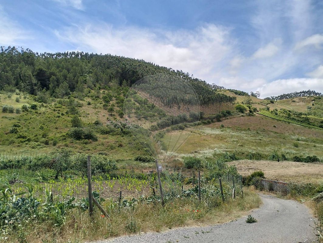 Terreno para venda
