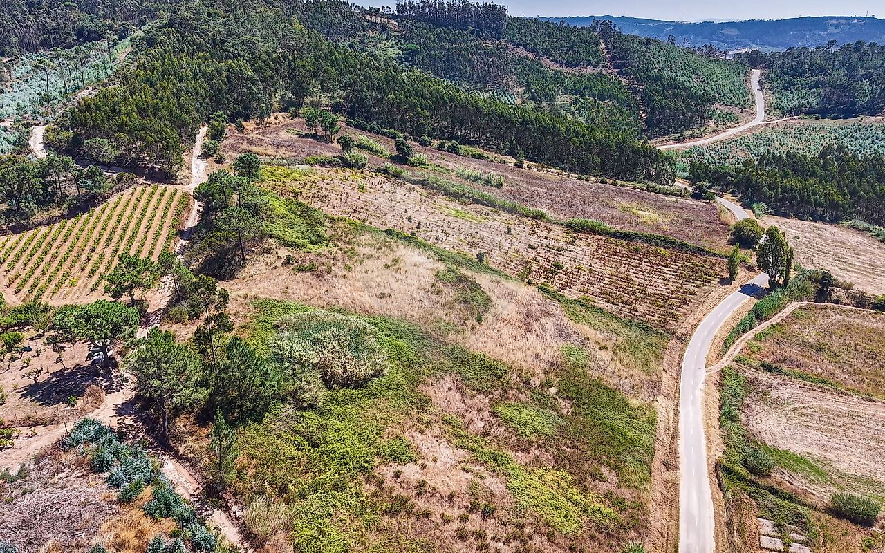 Terreno  para venda