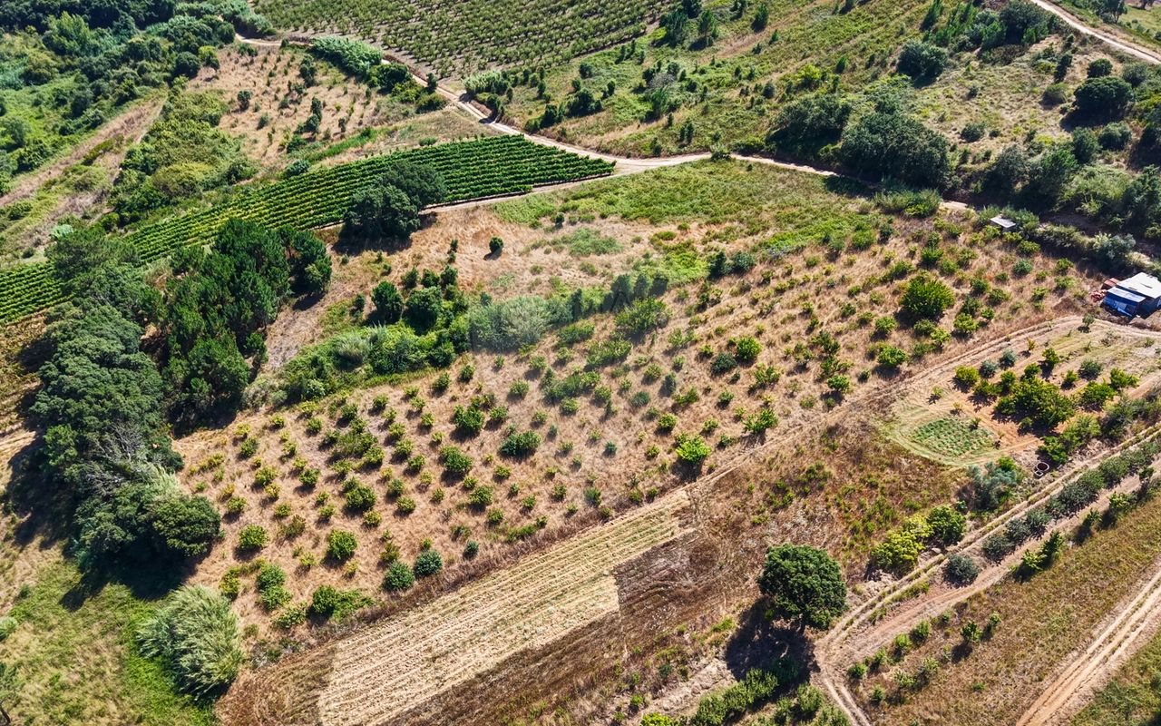 TODO