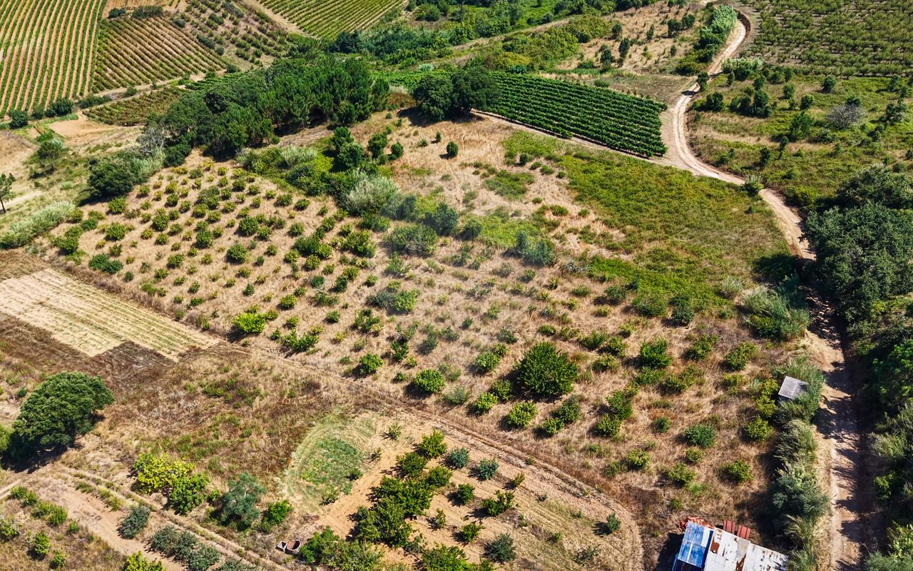 Terreno  para venda