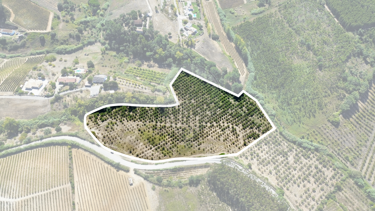 Terreno  para venda