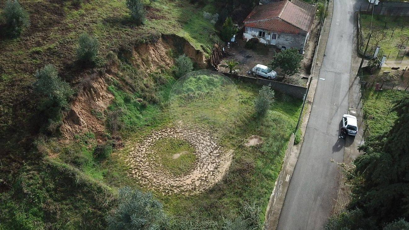 Terreno - Chamusca e Pinheiro Grande, Chamusca, Santarém