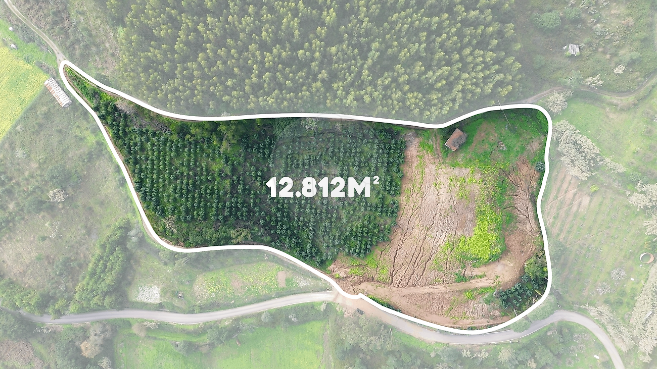 Terreno à venda em Mafra