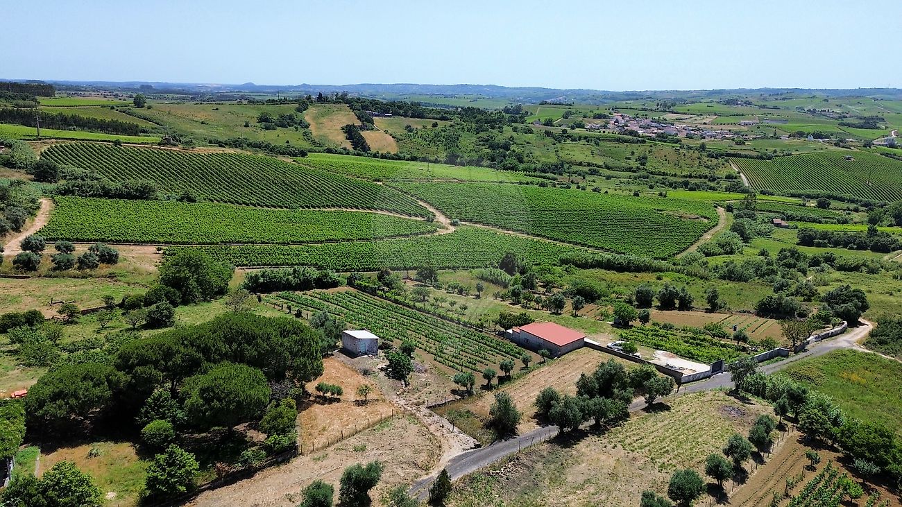 Terreno à venda em Torres Vedras