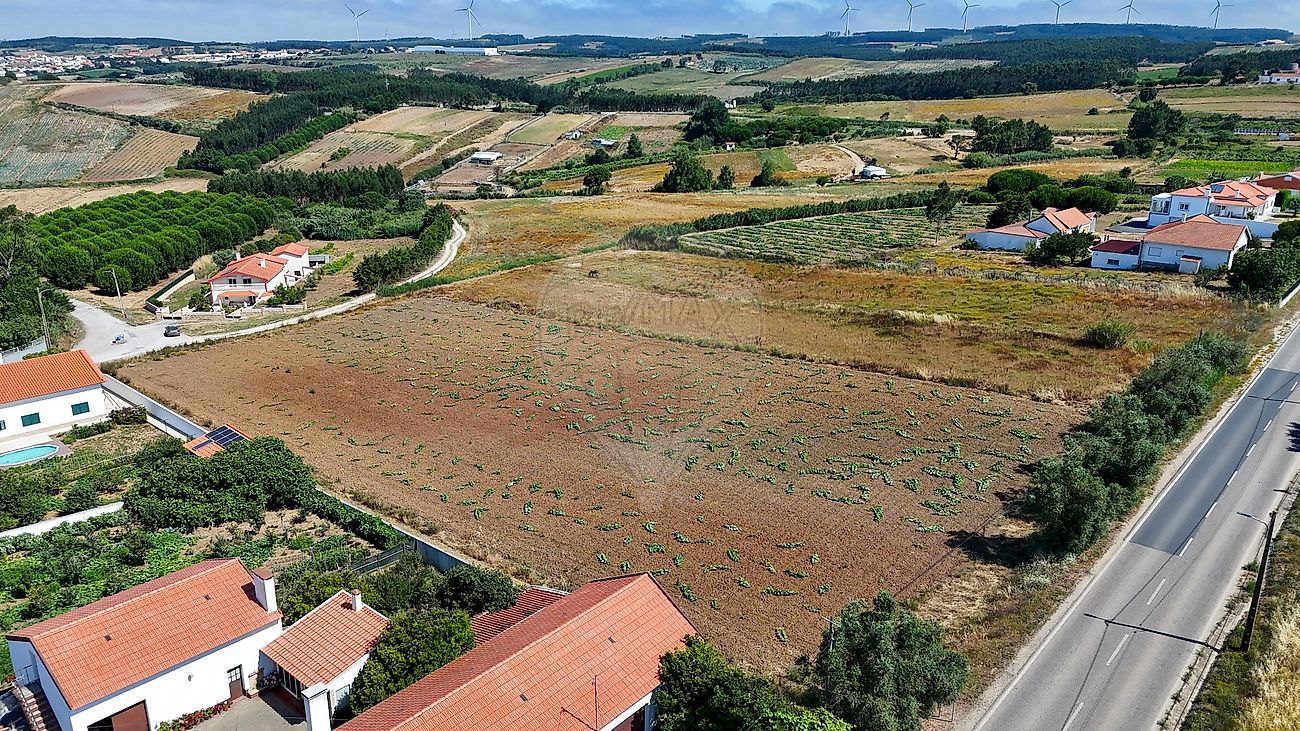 Terreno - Miragaia e Marteleira, Lourinhã, Lisboa