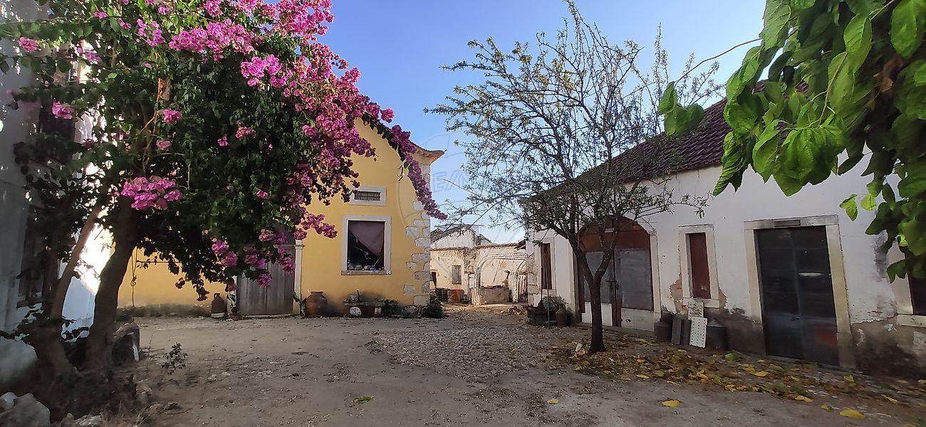 Armazém - Olaia e Paço, Torres Novas, Santarém