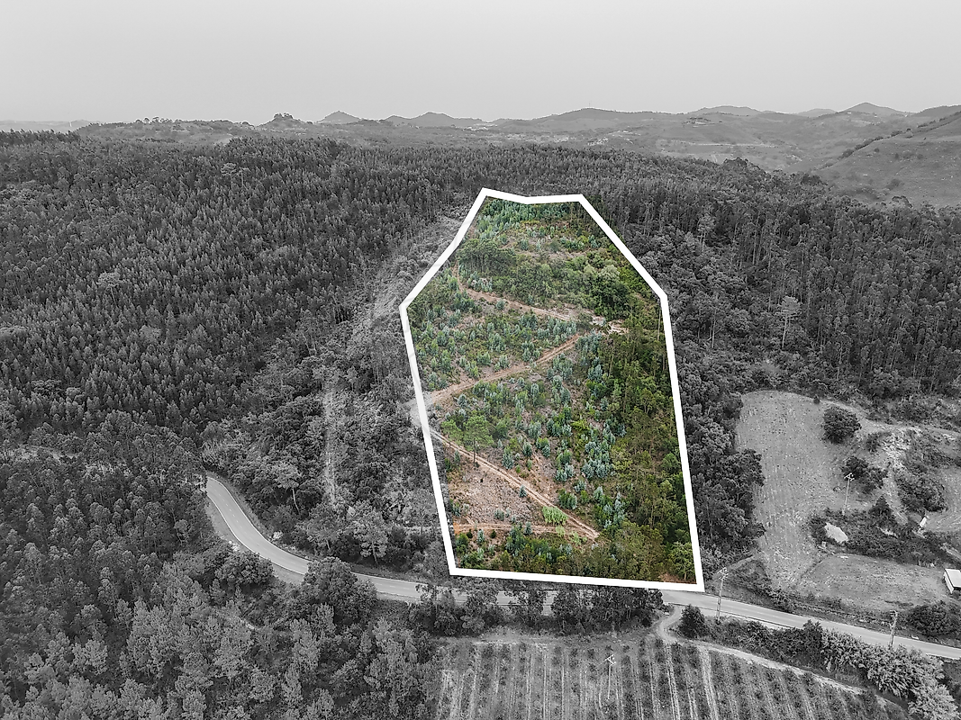 Terreno - Azueira e Sobral da Abelheira, Mafra, Lisboa