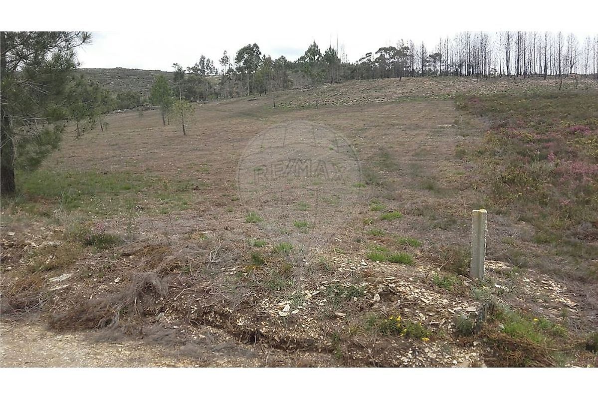 Terreno  à venda em Paredes