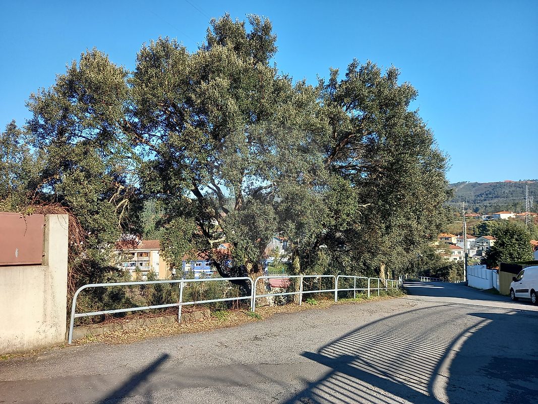Land for sale in Paredes, Portugal — €60,000