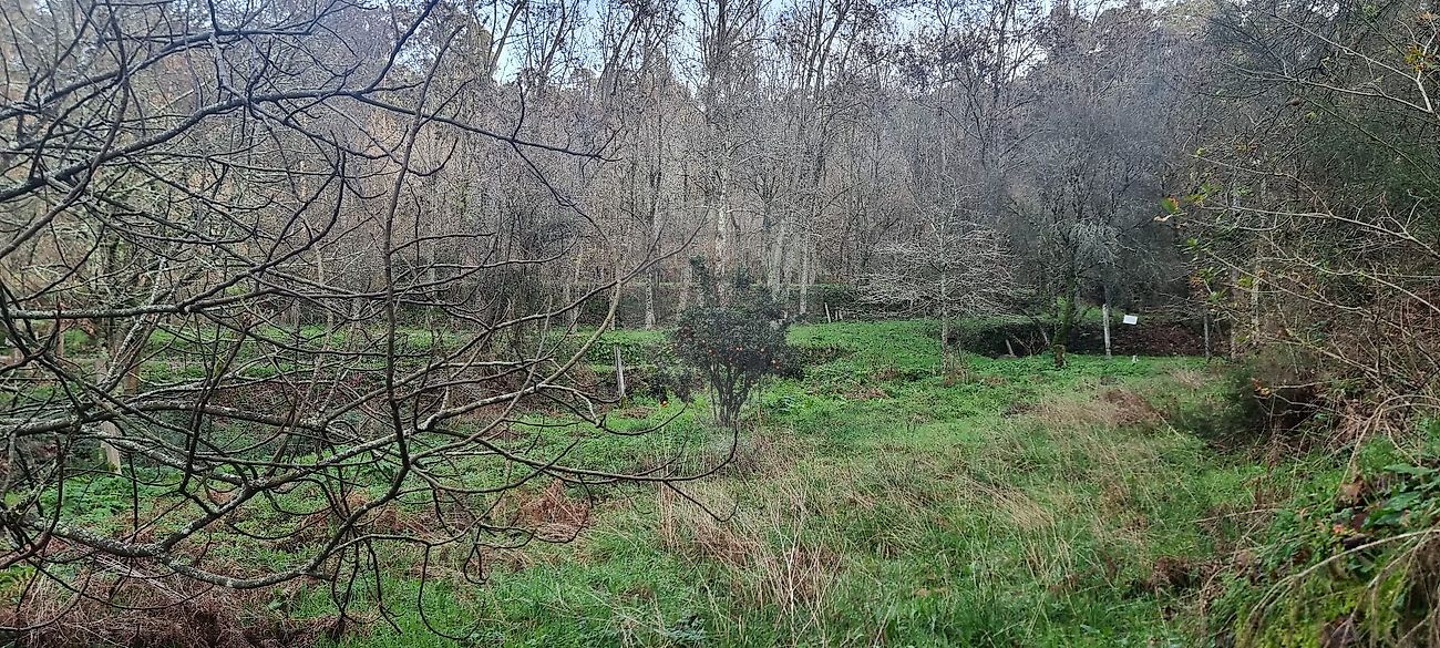 Terreno para venda