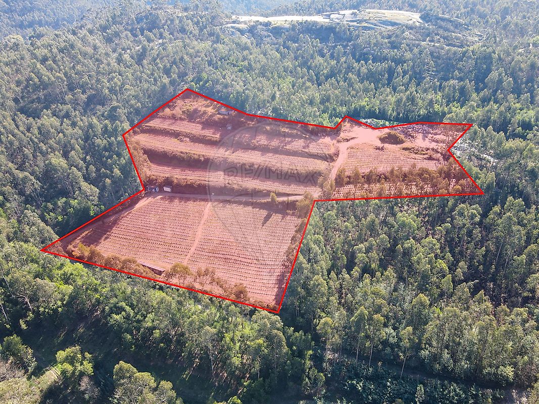 Terreno para venda