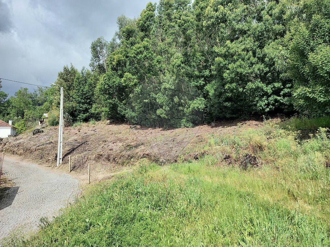 Land for sale in Paredes, Portugal — €70,000