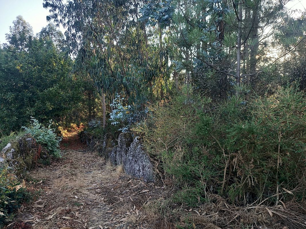 listing 121911050-978 picture-0