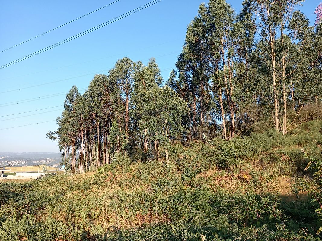 listing 121911050-978 picture-0