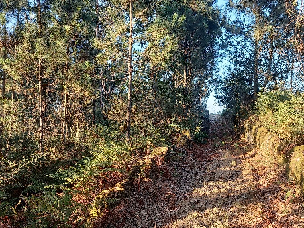 listing 121911050-978 picture-0