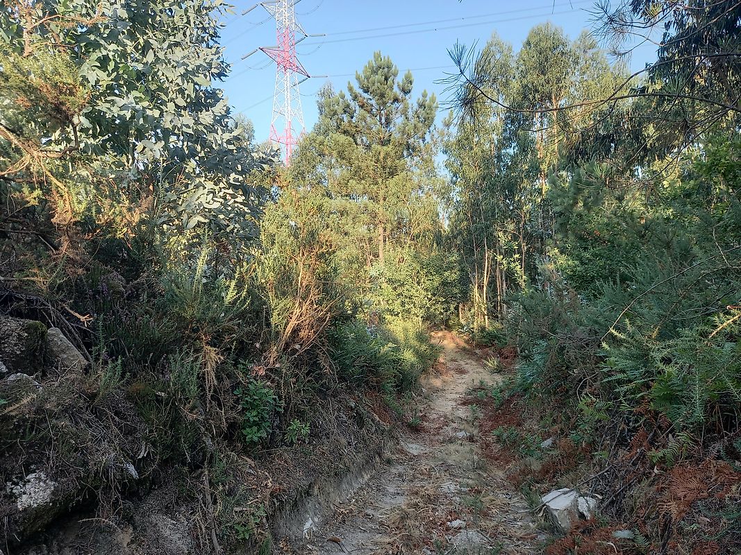 listing 121911050-978 picture-0