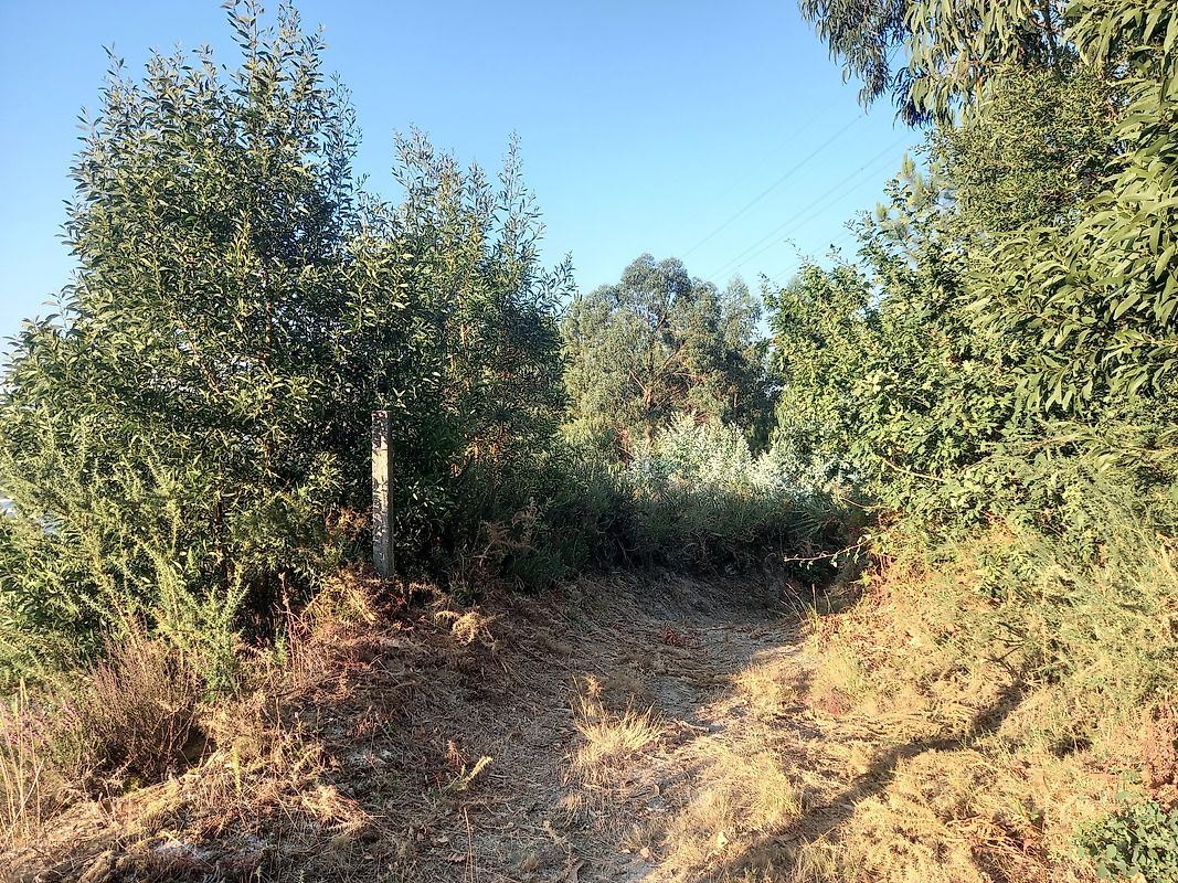 listing 121911050-978 picture-0