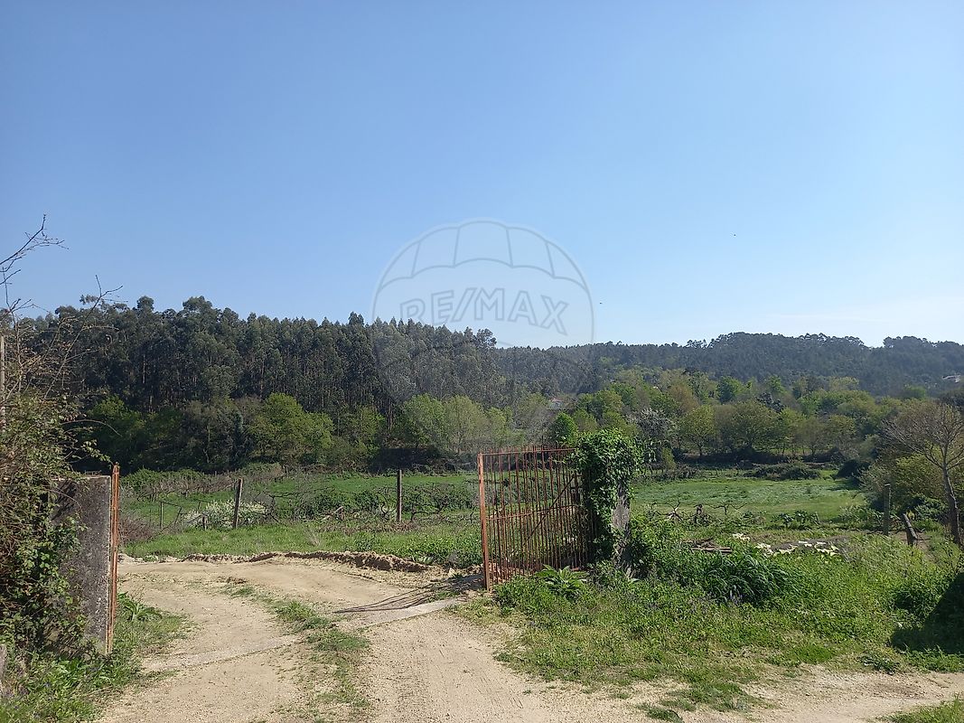 Terreno - Fonte Arcada, Penafiel, Porto