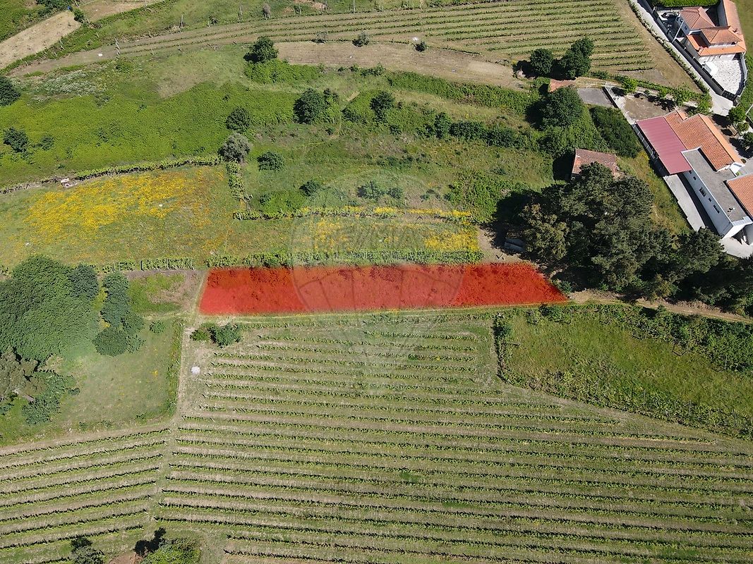 Terreno - Termas de São Vicente, Penafiel, Porto