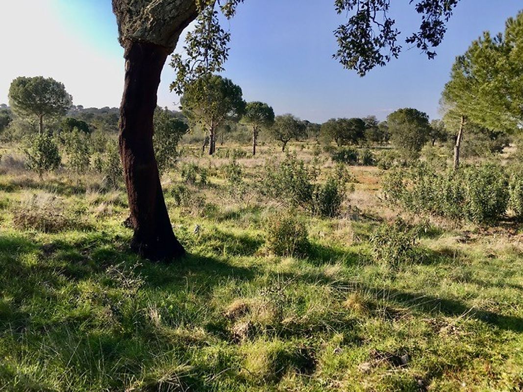 listing 121961105-322 picture-0